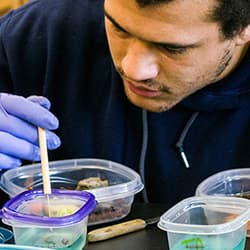 Student doing labwork